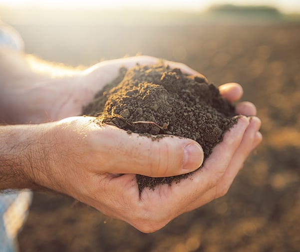 Naturally rich soils, enhanced by science.