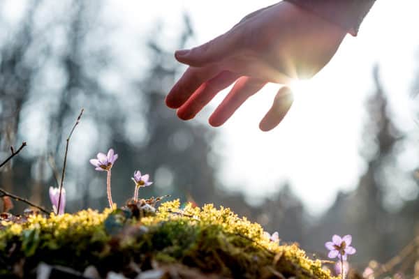 Fertile ground for a sustainable future.
