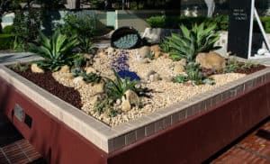 Agromin-Pacific-fountain-trimmed-300x182 - Agromin