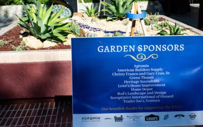 New Garden Springs from Oxnard Performing Arts Center Fountain