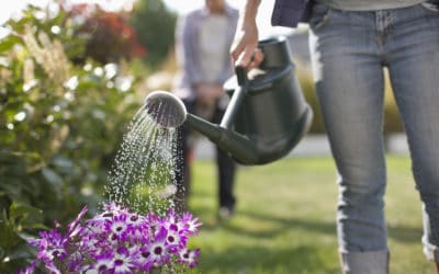 Top 5 Spring Gardening Tips