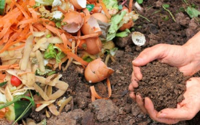 Top 9 Benefits of Compost