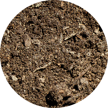 Soil_LawnTop - Agromin