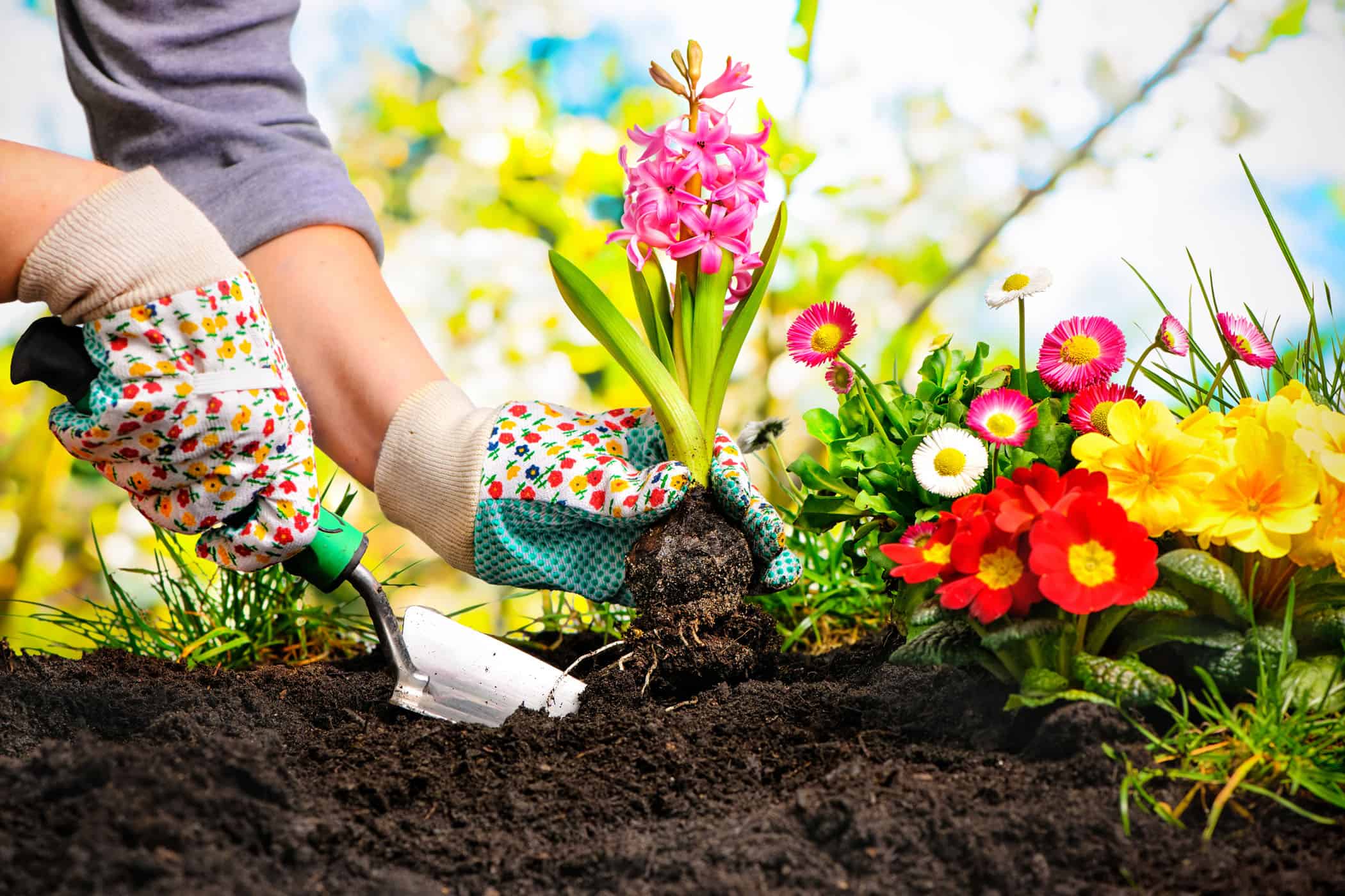 Flowers-planting-in-compost-small - Agromin