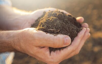 Reharvesting organic waste benefits the planet | Your Turn