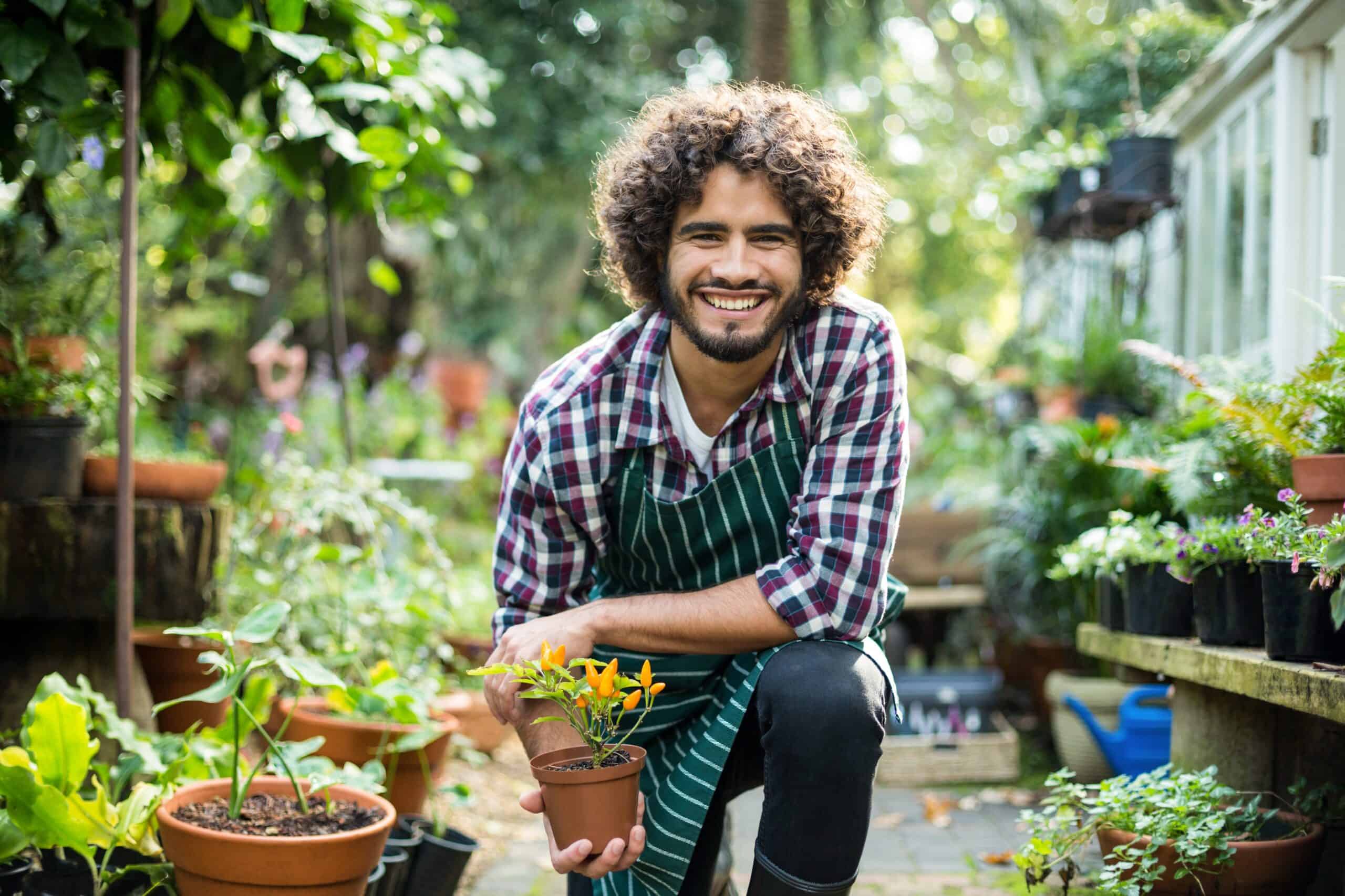 Smiling male gardener holding potted plant