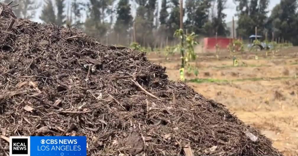 Agromin’s Organic Recycling Facility at Limoneira Ranch Featured on KCBS-TV News