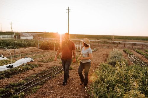 Killdeer Farms