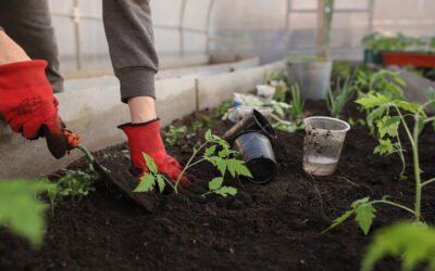 City of Camarillo Partners With Agromin To Launch