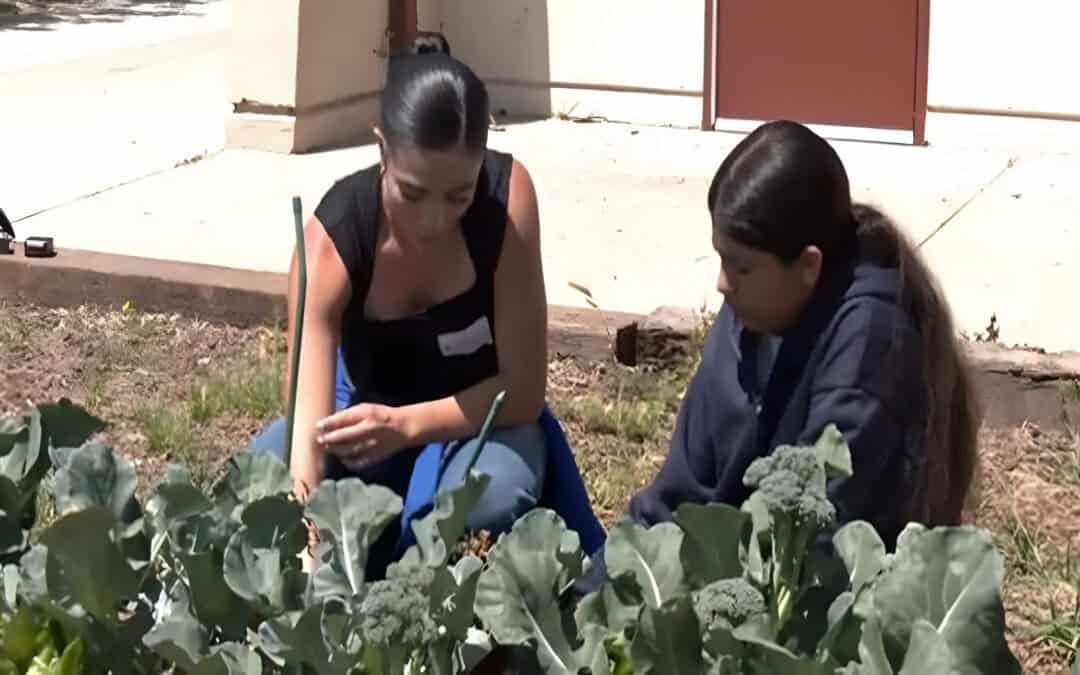 Agromin’s Healthy Soil Hero “Ventura County Farm to School” Featured on KEYT-TV