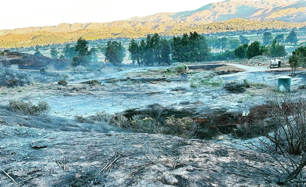 Leap Lab Farm Fire Damage website