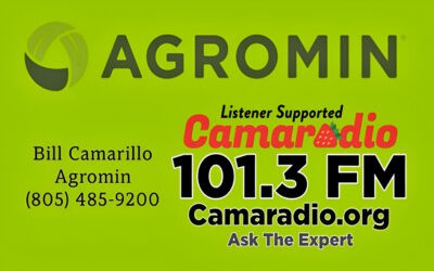 Bill Camarillo on 101.3FM Camaradio’s “Ask The Expert”