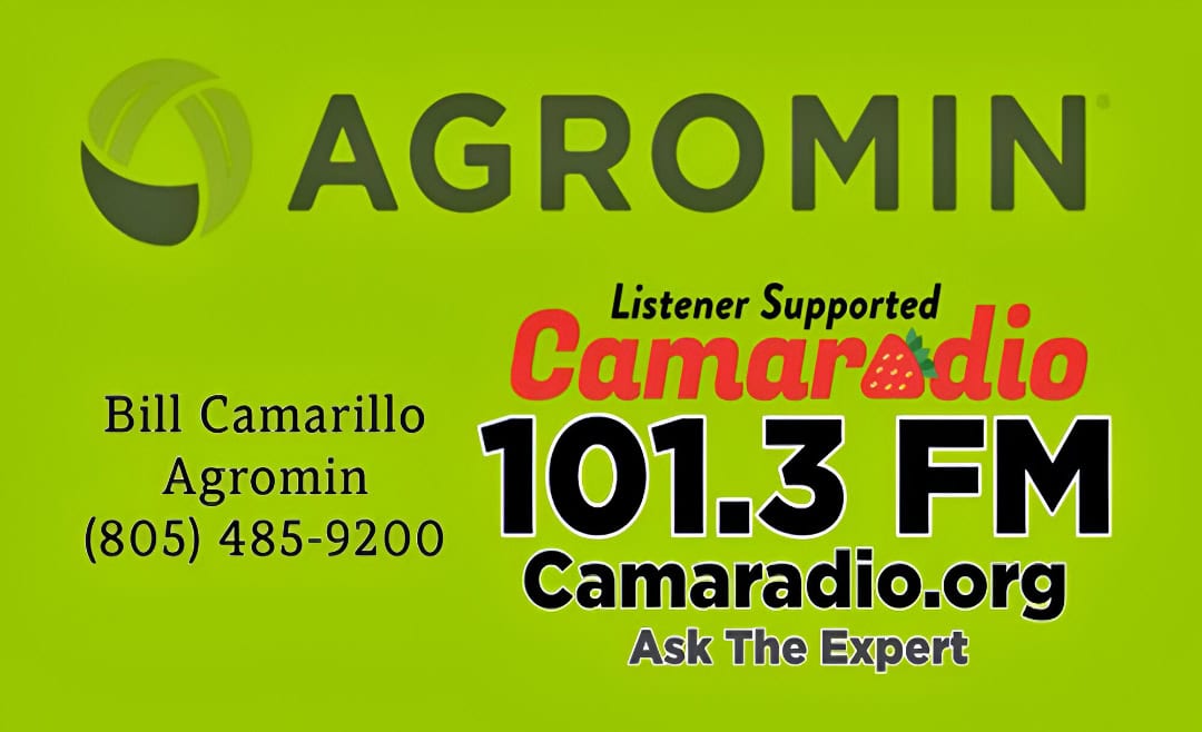 Camaradio graphic