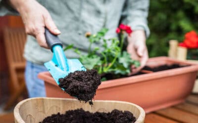 City of Sacramento Kicks Off Free Compost Program