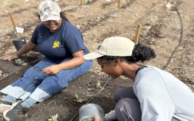 Agromin Donates Compost to UC Merced Guayule Plant Study