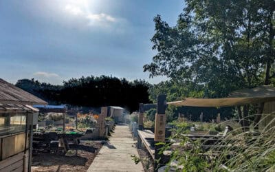 Agromin Donates 30 Cubic Yards of Compost to Rudecinda Sepulveda Dodson Middle School For School Garden Projects